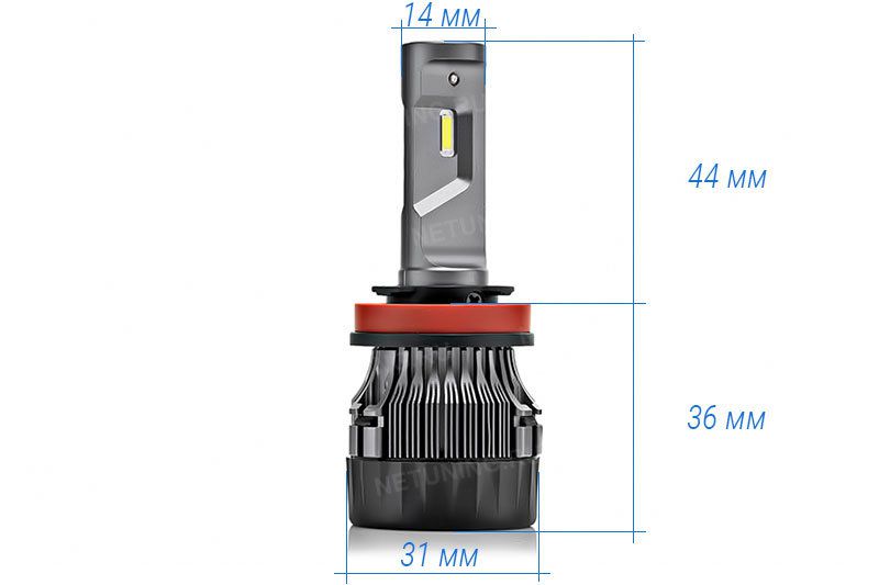    H11 M1