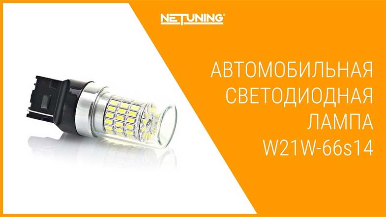   NeTuning w21w-66s14