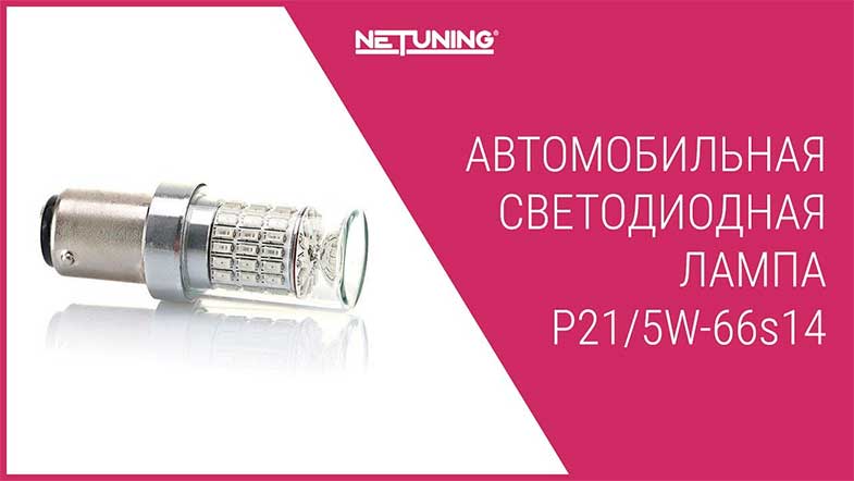   NeTuning p21/5w-66s14