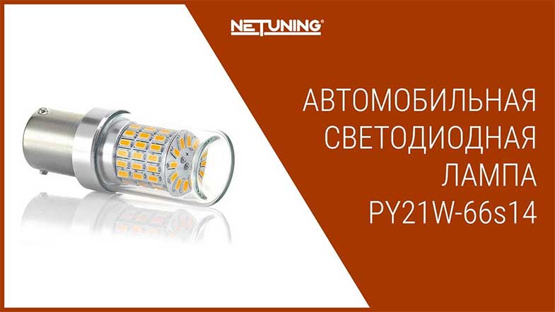   NeTuning py21w-66s14