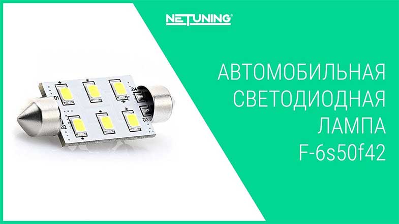   NeTuning F-6s50f42